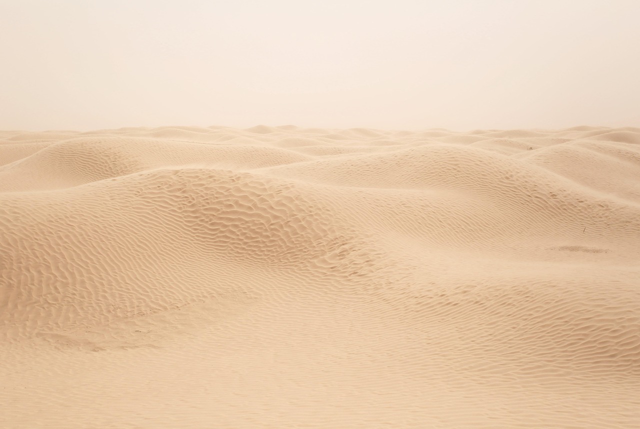Sahara dunes
